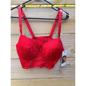 Daisy Fuentes Red Floral Lace Push Up Longline Bra 40C New With Tags